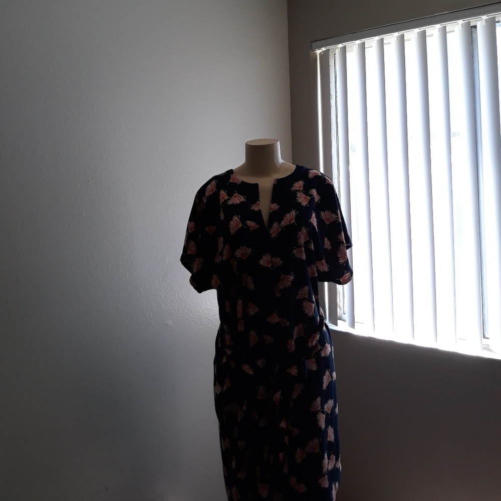 Ann taylor dress